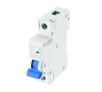 QUARKZMAN 1Pcs Disjoncteur Miniature 1P 63A DC 250V M80Dc Montage Sur Rail Din Interrupteur de Déconnexion Disjoncteur de Protection Thermique Magnétique, Bleu