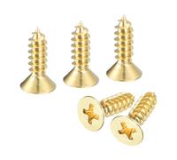 QUARKZMAN 20Pcs M5 x 16mm Auto-Taraudeuse Pour Meubles En Bois | Vis À Laiton, À Tête Plate Phillips Vis Charnières Porte, Électroménagers