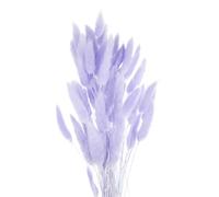 QUARKZMAN 60pcs Queues De Lapin Naturelles Fleurs Séchées 16" Mini Pampas Lagurus Ovatus Bouquet pour Décoration Florale Mariage Noël, Violet
