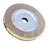 Qudinip Jeu de Disques de Polissage pour Meule à Haute efficacité pour la Finition des Tubes en Acier Inoxydable, Diamètre 170 Mm, Options Grains 60 et 80 (80 mailles)