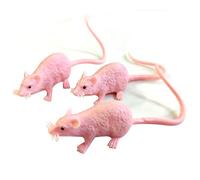 Qudinip Rat en Plastique Réaliste, 16 Pièces, Jouets de Farces Effrayants pour Halloween, Noir, Gris, Blanc, Rose (16 pièces)