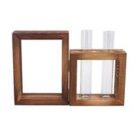 Qudinip Station de Propagation des Plantes, Support Décoratif en Bois avec 2 Tubes à Essai en Verre pour la Décoration de la Maison et du Bureau