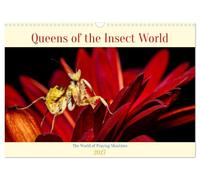 Queens of the Insect World (Wall Calendar 2027 DIN A3 landscape), CALVENDO 12 Month Wall Calendar: Mantis Queens of the Insect World
