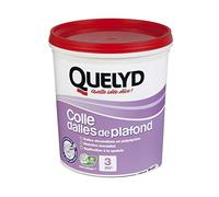 Quelyd Colle Dalles de Plafond Polystyrène - Seau de 1 kg (3 m²) | Colle en Pâte Prête à l'Emploi pour Dalles - Poutres - Moulures et Panneaux Isolants Légers - Intérieur - Sans Solvant