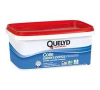Quelyd Colle Papiers Peints Intissés en Pâte - Toutes Pièces - Application Directement Au Mur - Prête à l'Emploi - Sans Solvant - Seau de 3 kg