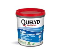 Quelyd Colle Papiers Peints Intissés en Pâte - Toutes Pièces - Application Directement Au Mur - Prête à l'Emploi - Sans Solvant - Pot de 1 Kg