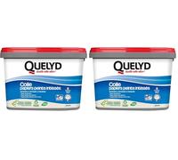 Quelyd Colle Papiers Peints Intissés en Pâte - Toutes Pièces - Application Directement Au Mur - Prête à l'Emploi - Sans Solvant - Seau de 5 kg (Lot de 2)