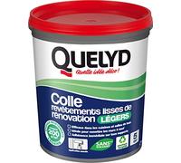 Quelyd Colle Revêtements Lisses Rénovation Légers – Application murale, tous supports – 1 kg