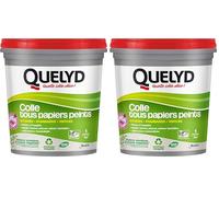 Quelyd Colle tous Papiers Peints en pâte avec Indicateur coloré 1 kg (Lot de 2)