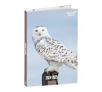 Quo Vadis 1282389Q Agenda scolaire EUROTEXTAGENDA Multilingue Année 2024-2025 Visual Hibou Format 12 x 17 cm Quotidien 12 mois août-juillet Papier blanc Couverture en carton Amis à 4 pattes