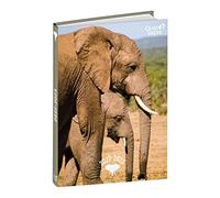 Quo Vadis - Collection : Mes potes à pattes EUROTEXTAGENDA - Agenda année scolaire - Journalier - 12x17 cm - Edition multilingue - 12 mois août-juillet - Eléphant - Année 2022-2023