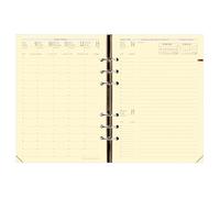 Quo Vadis Recharge Pour Agenda Timer 21 Prestige 15 X 21 Cm 16 Mois