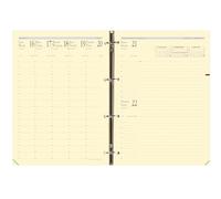 Quo Vadis Recharge organiseur Timer 29 Prestige 2025-2026 Semainier 16 mois 21x29,7 cm