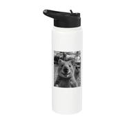 Quokka Selfie drôle pour homme et femme Animal mignon Stainless Steel Insulated Water Bottle