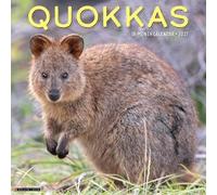 Quokkas 2027 Wall