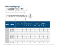 R-FF1-N-10L160 Cheville nylon tête fraisée 10x160 mm - boîte 25