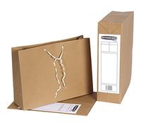 R-Kive 00110 Lot de 25 sacs d'archivage Format ministre 101 x 254 x 356 mm