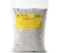 R&R SHOP - Graines pour Gazon Résistant,Cynodon Dactylon, Origine USA, Résistant à la Chaleur & Sécheresse, Piétinable. (4500gr - 500mq)
