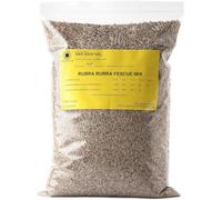 R&R SHOP - Semences de Gazon d’Ombre, Fétuque Rouge Traçante, Auto-régénérante à Feuille Fine (500 g - 20 m²)