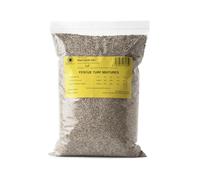 R&R SHOP - Semences pour Pelouse, Festuca Arundinacea, Résistantes et Longue Durée (5Kg - 200mq)