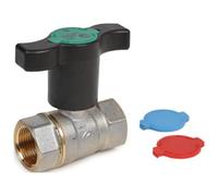 R251WX103 R251WT Robinet à boisseau sphérique, raccords F-F 1/2 "GIACOMINI
