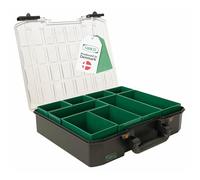 Raaco CarryLite 80 4x8-9 boîte de rangement, 9 compartiments, Capacité | Boîte de rangement Visserie Premium pour Atelier, Capacité de 10 kg, Stockage Sécurisé, Portable, 27,8 x 33,7 x 7,9 cm, clair
