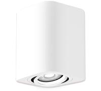 Rabalux Kobald plafonnier 1x42 W blanc 2050