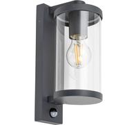 Rabalux Silistra applique murale extérieure 1x60 W transparent-anthracite 7892