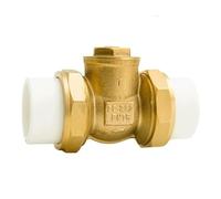Raccord de tuyau d'union clapet anti-retour d'eau PE PPR | Tube de compteur d'eau du robinet en laiton, raccord de tuyau de connexion DN20 DN25 DN50(20mm PPR White)