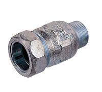 Gebo Raccord à vis Série 150 01.150.00.01 2000 – 2" x 21,3 mm pour tube en acier