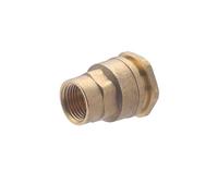 Raccord PE Laiton Femelle Ø20 - Femelle 15x21 (1/2) NOYON & THIEBAULT