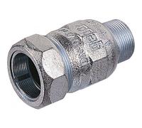Gebo Raccord à vis Série 150 01.150.00.01 2000 – 2" x 21,3 mm pour tube en acier