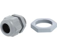 Raccord vissé STEX24 PA avec contre-écrou - marque propre STEX24 M25x1,5, lot de 100, polyamide (PA), longueur de filetage 9,0 mm - 1 pièce