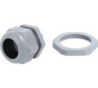 Raccord vissé STEX24 PA avec contre-écrou - marque propre STEX24 M40x1,5, lot de 50, polyamide (PA), longueur de filetage 10,0 mm - 1 pièce