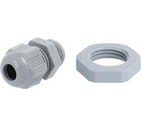 Raccord vissé STEX24 PA avec contre-écrou - marque propre STEX24 PG9x1,41 VPE 100 polyamide (PA) longueur de filetage 8,0 mm - 1 pièce