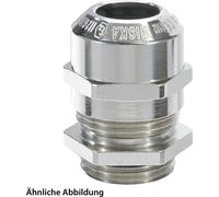 Raccord vissé WISKA ATEX 1 1/2 pouce x 2,209 avec joint torique Laiton (CuZn) nickelé II2DExtbIIICDb / II2GExebIICGb / II 2G