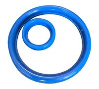 Raccords de quincaillerie DN10/15/20/50-150 bleu blanc VMQ joint d'étanchéité en caoutchouc silicone for raccord à souder standard DIN mécanique sanitaire maison(Blue DN125)