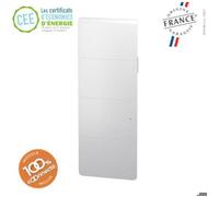 Radiateur bloc fonte INTUIS Axoo connecté - 1000W Vertical Blanc