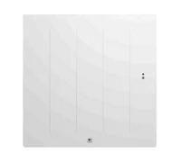 Radiateur electrique Fonte chaleur douce KENYA 5 Horizontal 1000W Blanc - THERMOR 414729