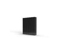Radiateur connecté BELIZE II 5 éléments 1000W Noir - ROINTE - BRFB1000RAD3