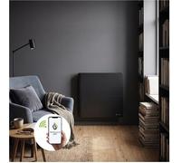 Radiateur électrique connecté - THERMOCERAM - Molia - Fonte - 1000W - Noir