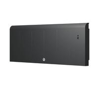Radiateur electrique Fonte chaleur douce KENYA 5 Plinthe 750W Gris - THERMOR 414741