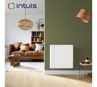 Radiateur electrique Horizontal Fonte CHAMANE 1500W - INTUIS M119115