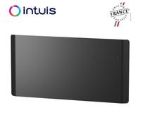 Radiateur Fonte NOIROT CALIDOO Nativ 2000W anthracite connecté INTUIS M152127
