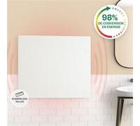 Radiateur infrarouge - Klarstein Wonderwall Air Infinite - Panneau chauffant - 60x50cm - 300W - Télécommande - Blanc Blanc G