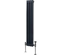 Radiateur Traditionnel à 2 Colonnes Chauffage Vertical Anthracite 1500 x 202mm Gris G