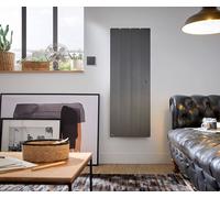 Radiateur vertical à inertie active Fontea - Fonte - Gris - 1000W