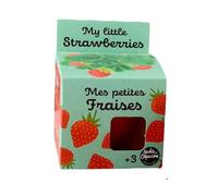 Radis et Capucine - Kit plantation - Fraisier - 8cm