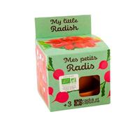 radis et capucine - kit plantation - radis bio - 8cm G