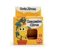 Radis et Capucine - Kit pot terre cuite 8 cm - Concombre citron